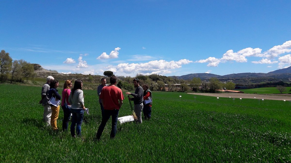 a_csnvs's tweet photo. Els tècnics de les cooperatives ramaderes continuen treballant amb @irtacat en el Grup Operatiu de millora de gestió de les dejeccions #sostenibilitat #EIPagri #1000ogs https://t.co/HfU9WEogMM https://t.co/8RsZNlpVl0