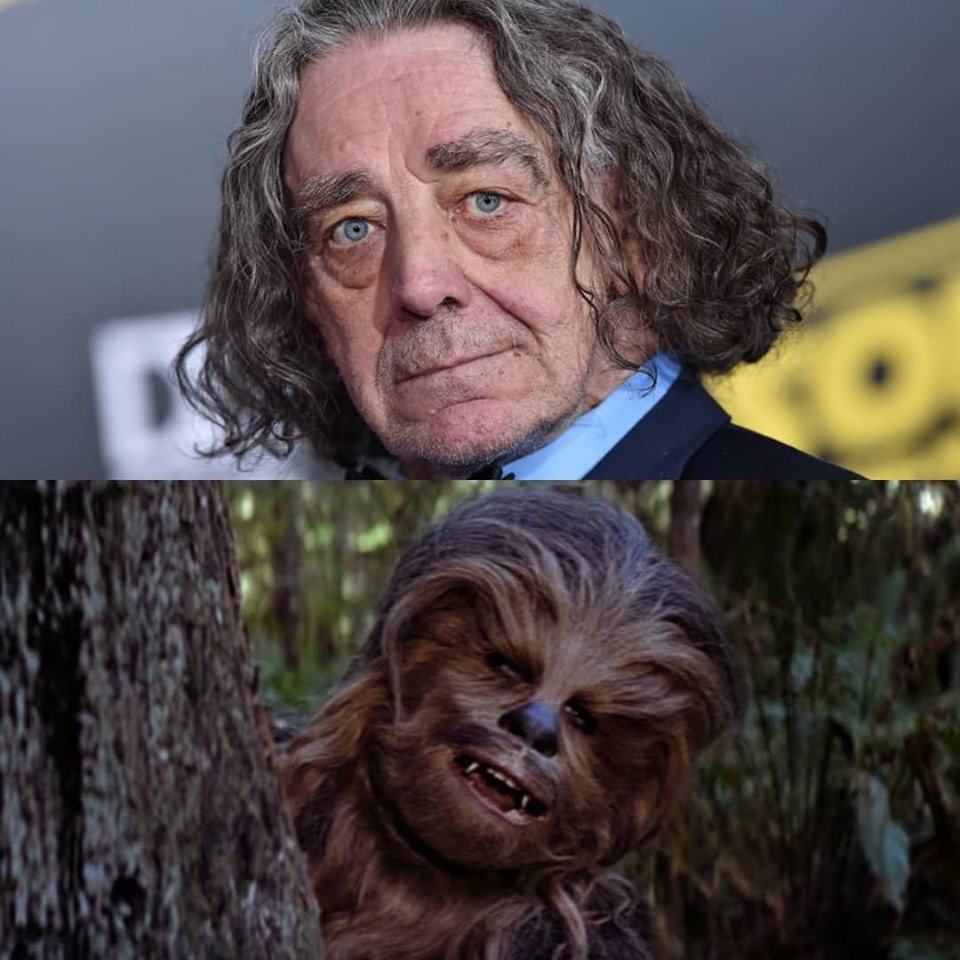 MFinished's tweet photo. #rip to Peter Mayhew, the original actor behind the Wookie, Chewbacca, in the Star Wars franchise.

#starwars #chewbacca #wookie https://t.co/LimVhdqjc4
