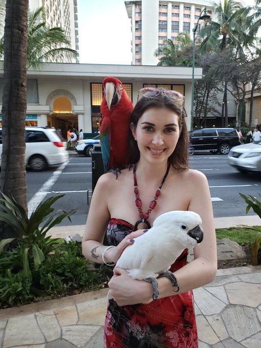 Beautiful birds https://t.co/niF9RUT9OF