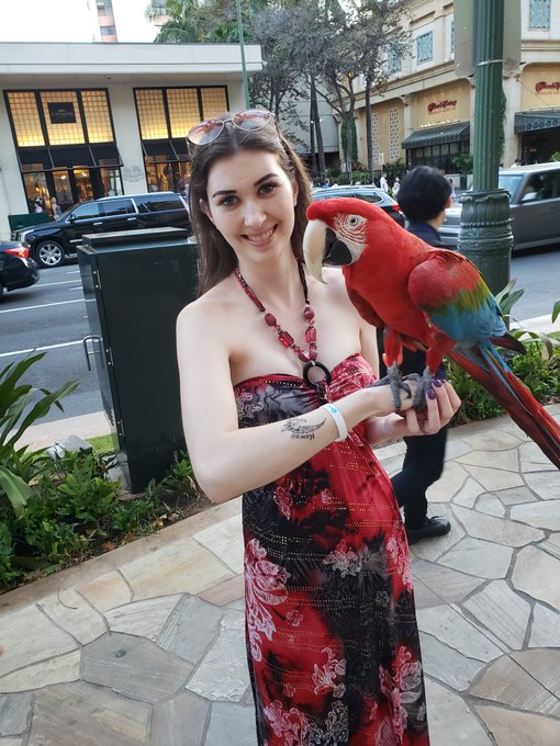 Beautiful birds https://t.co/niF9RUT9OF