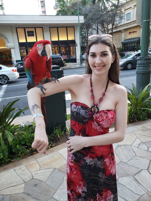 Beautiful birds https://t.co/niF9RUT9OF