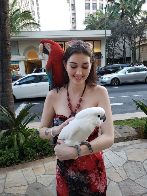 Beautiful birds https://t.co/niF9RUT9OF