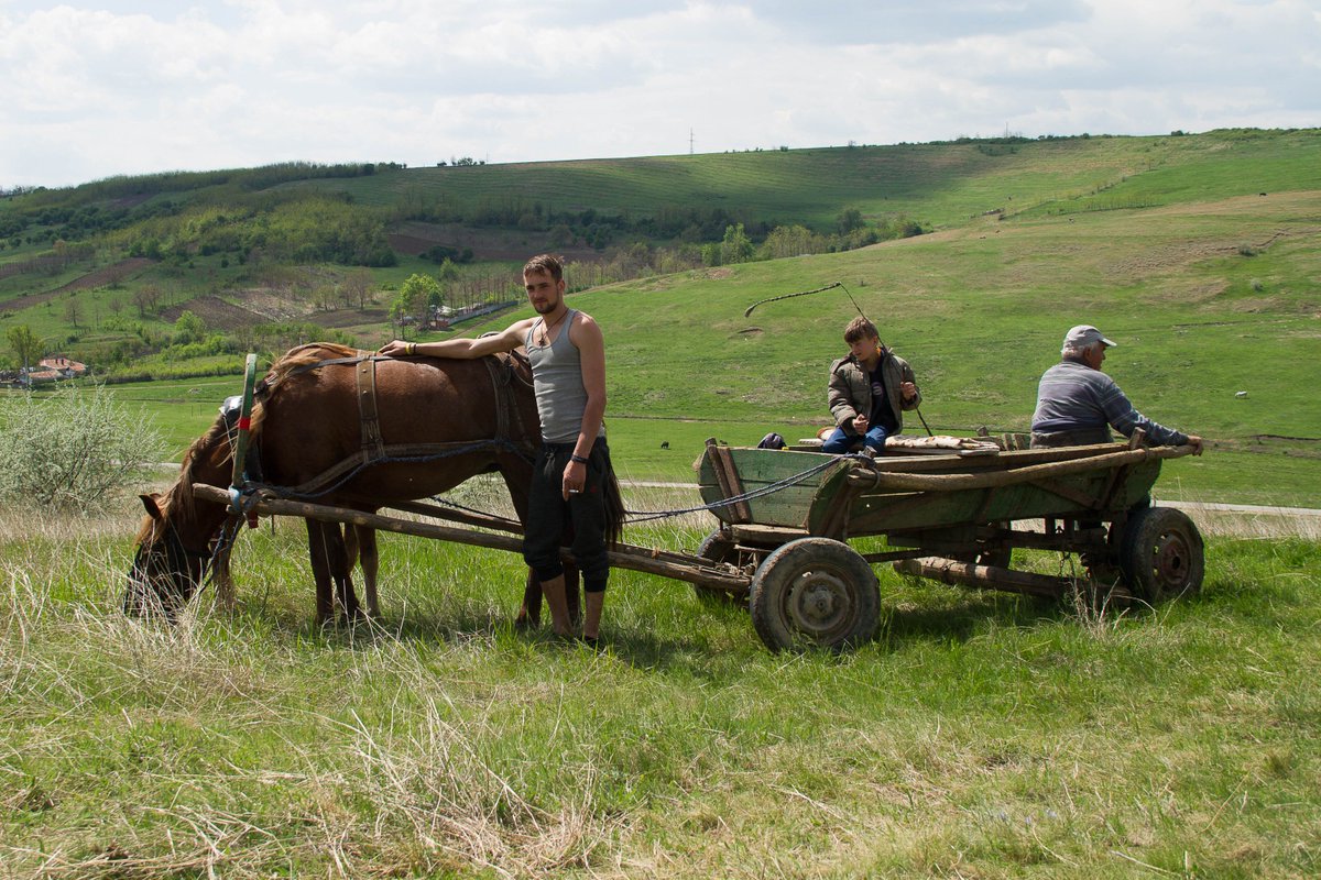 GosforthPhoto's tweet image. My transport yesterday... A bloody good day out with the locals!