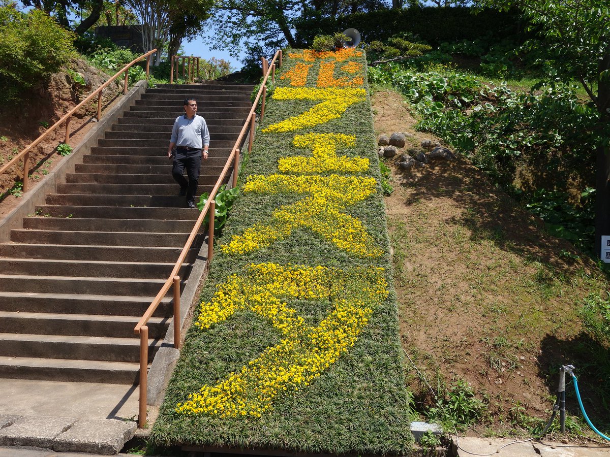 たこ 道路好団垢 Twitterren 只今 鹿児島県長島町の花フェスタに来ております 絶景