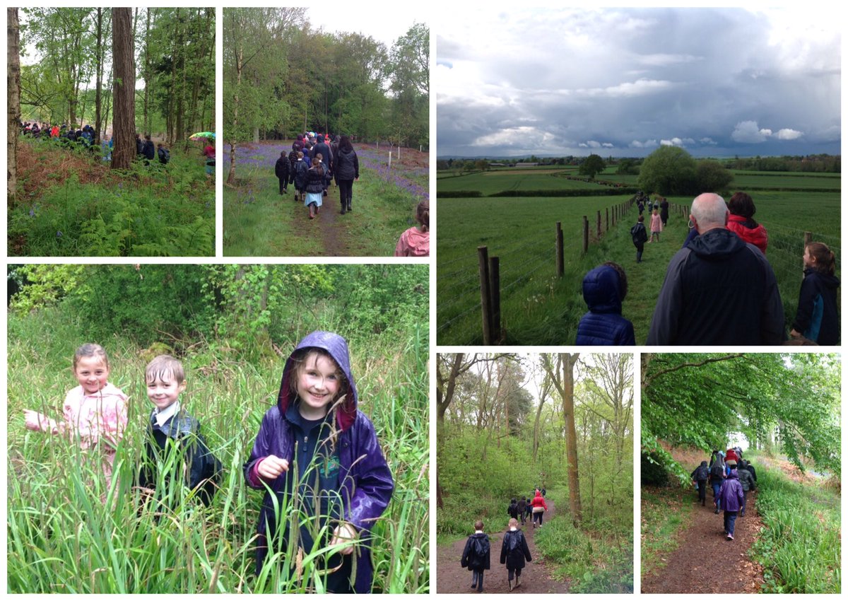 Chaddesley Corbett tweet media