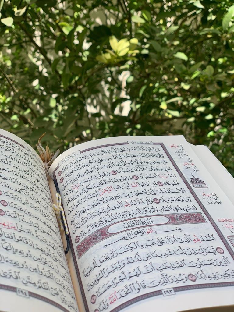 نُورة tweet media