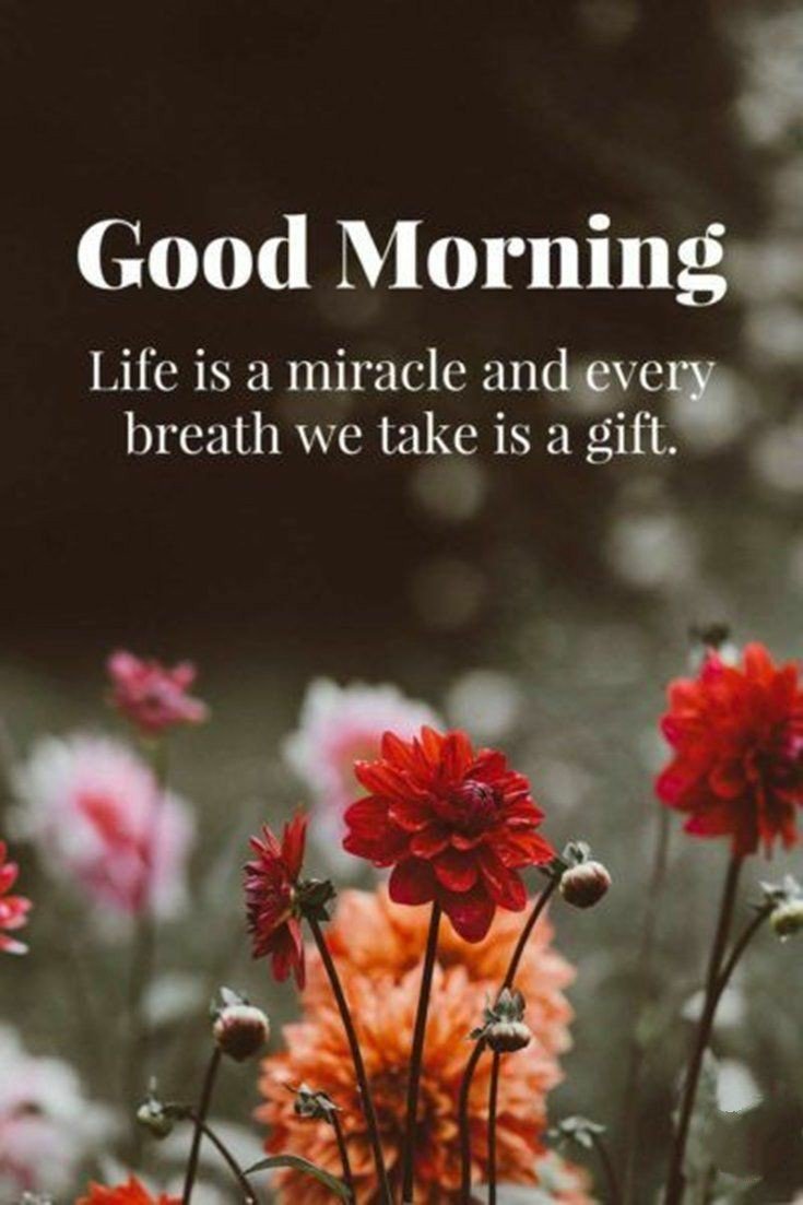 Image result for good morning