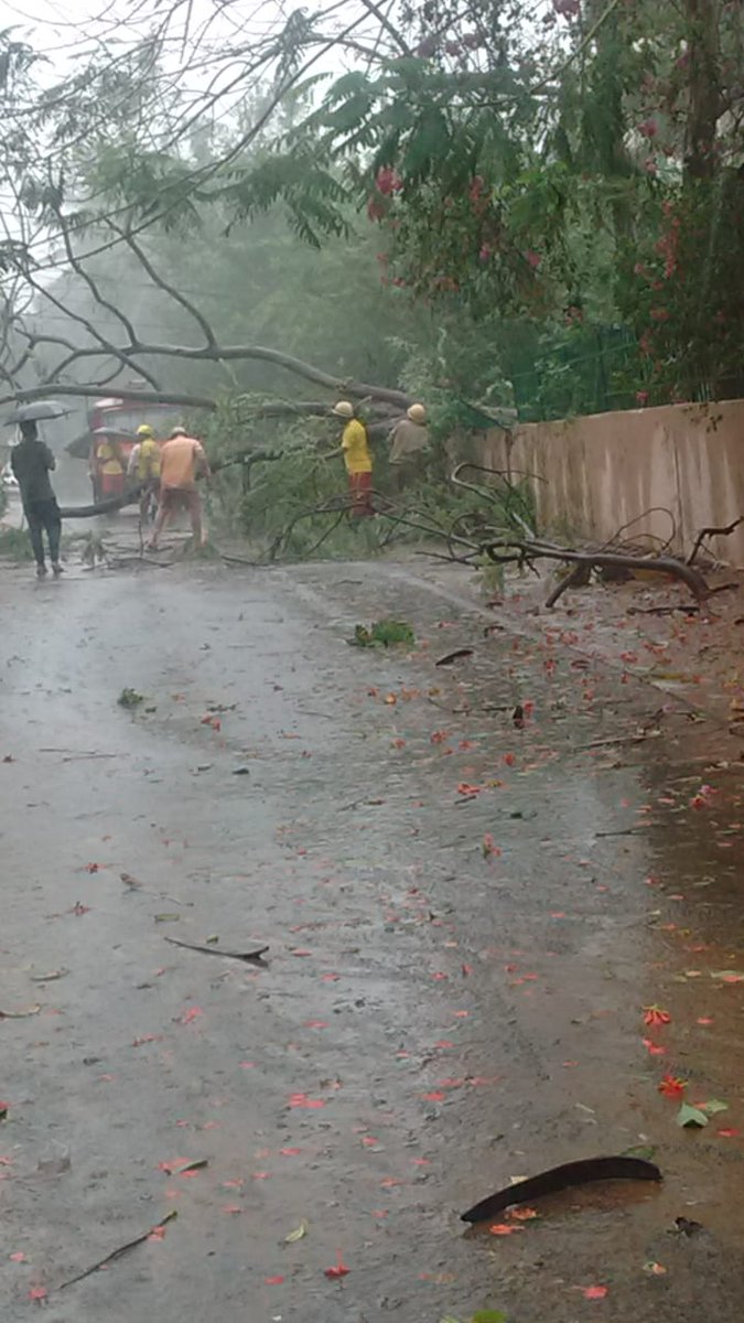 dna's tweet image. Road clearance by the fire brigade department at the peak hour of cyclonic storm, Jaydev Vihar, Puri Grant Road #Cyclonefaniupdate
