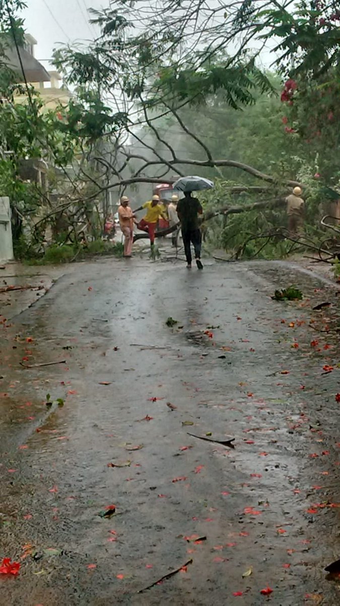 dna's tweet image. Road clearance by the fire brigade department at the peak hour of cyclonic storm, Jaydev Vihar, Puri Grant Road #Cyclonefaniupdate