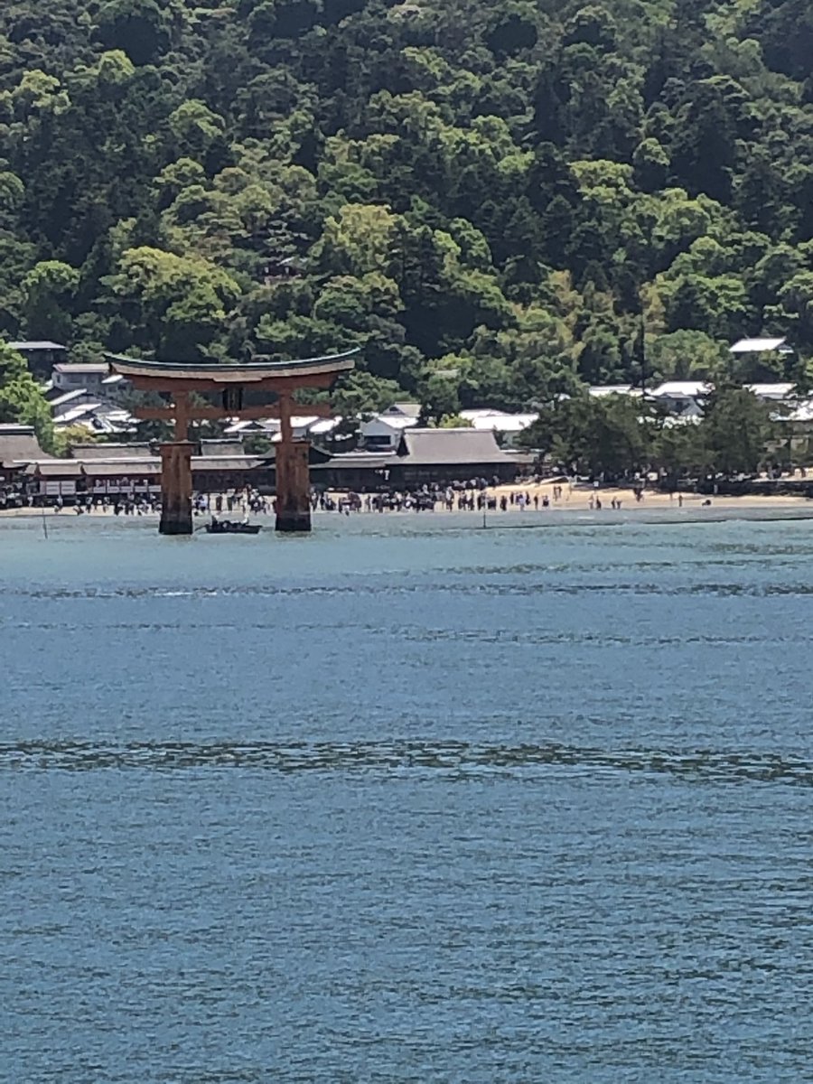 Samuel__Deeds's tweet image. We ventured out again today and ended up in on Miyajima home of the Praying Deer and The Great Torii Gate. @teamfastrax  #AmericasSkydivingTeam #TeamFastrax