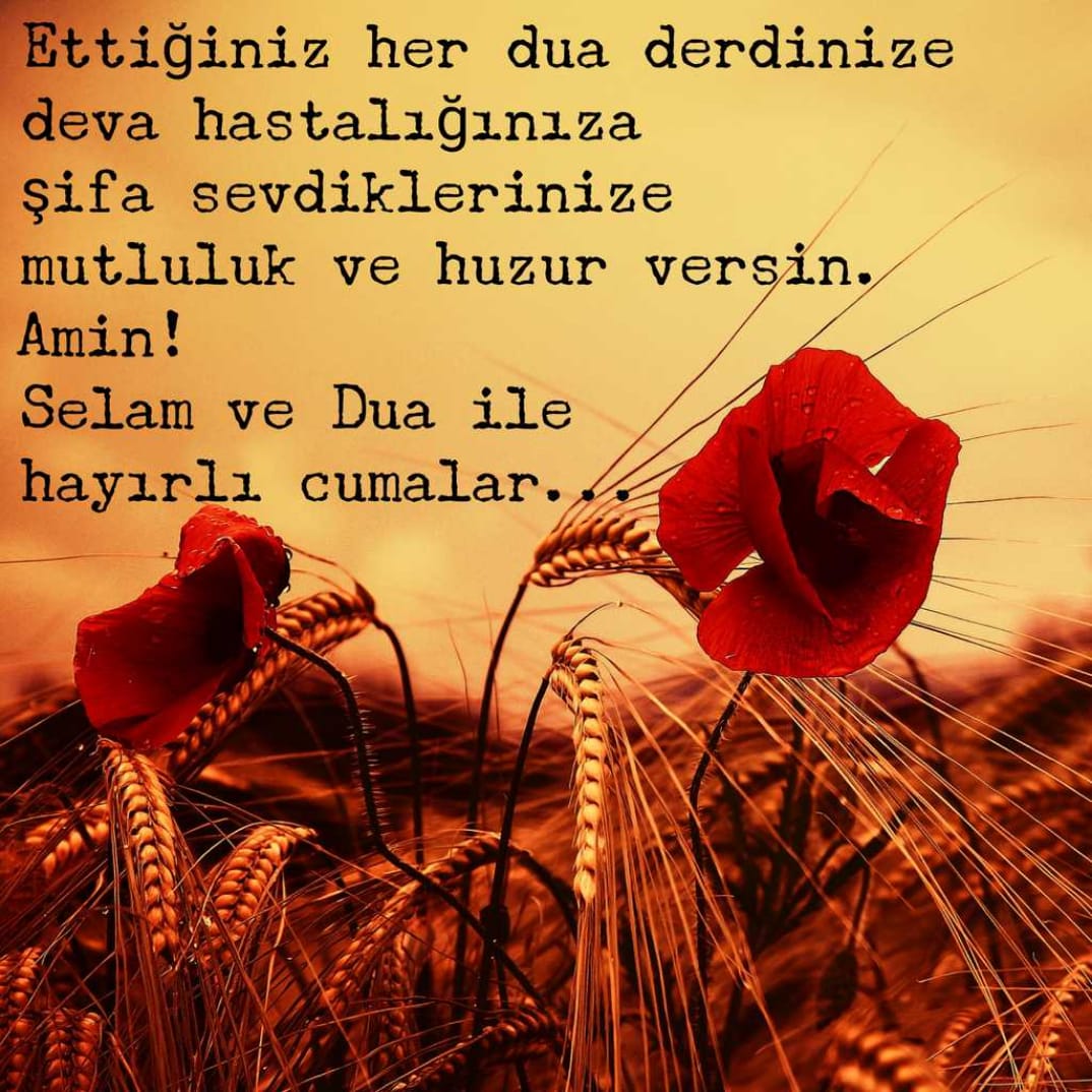 Ettiğiniz her dua derdinize deva hastalığınıza şifa sevdiklerinize mutluluk ve huzur versin. Amin! Selam ve Dua ile hayırlı cumalar...Şanlıurfa Tüm Emlakçılar esnaf odası yön. kur. adına Başkan Selehattin Tokmak