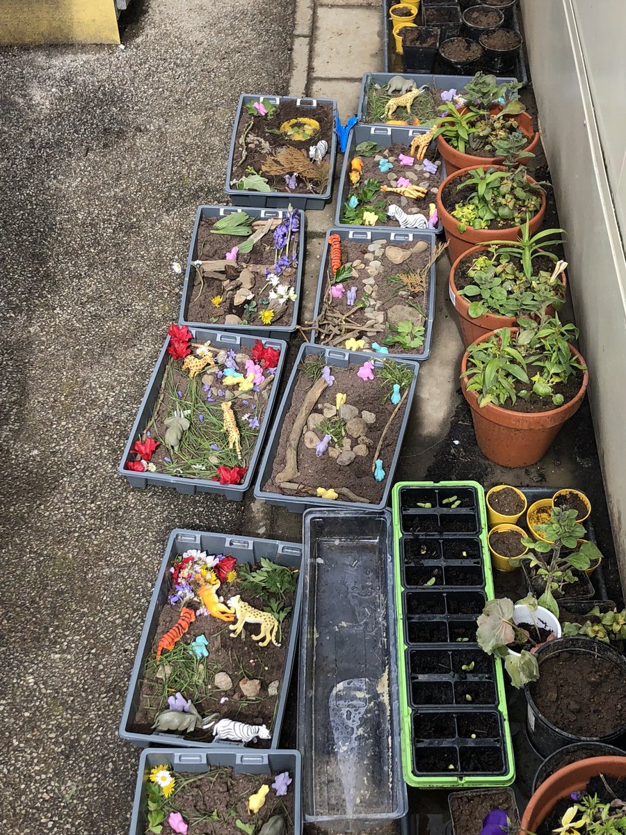 milltimbersch's tweet photo. P7B and P1 worked together today to make ‘small world landscapes.’ We collected materials from the outdoor environment and added animals to play with. Even the unexpected hail and wind didn’t put us off! Such fun working together! #outdoorlearning #collaboration #peerproject https://t.co/zVrHKutfEg