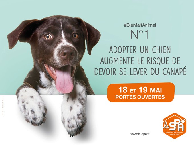 Voir l'image sur Twitter