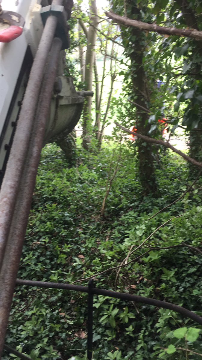 1customconcrete's tweet photo. Concrete though the trees into no mans land 😬.  No problem sir ... we love a challenge !! Keep them coming #concrete #concretemixing #Construction #mixonsite #ChallengeAccepted #teamwork #FridayFeeling #bedfordshire https://t.co/N1bf4BYumy