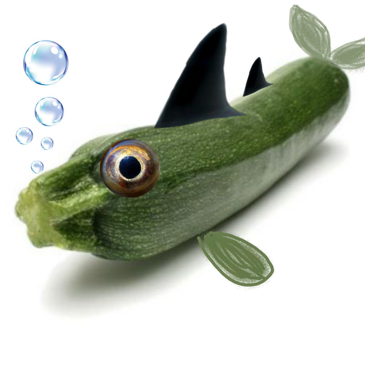 Iregnegne's tweet image. Ho pescato un esemplare di #ZucchinediMare, all&apos;acqua pazza sarà buona?
#propagandalive