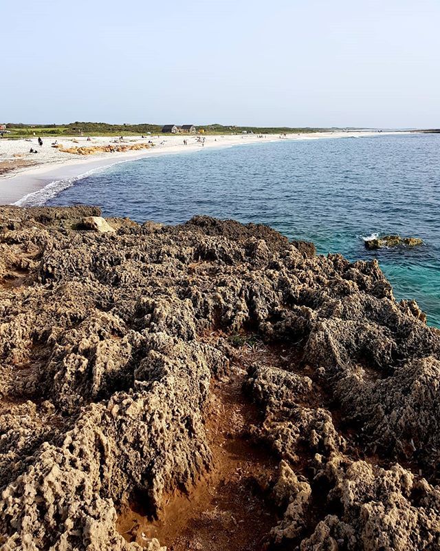 From the top 🌍🌊
#isarutas #igersardegna #beachview #soloinsardegna
.
.
.
.
.
#sardegna #yallerssardegna #sardinia #focusardegna #new_photosardegna #sosbattormoros #rocks #italianlandscape #ig_sardinia #volgosardegna #unavitavistamare #spring #thehub_… bit.ly/2V9q5lL