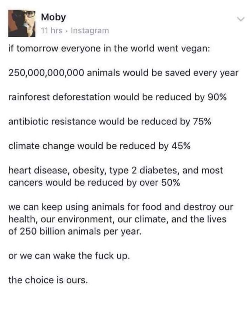 True words Moby ✊

#govegan #vegan #friendsnotfood #meetyourmeat #animalrights #animalliberation #thefutureisvegan #activism #meatismurder  #veganworld #veganisthefuture #compassionoverkilling #veganuk #veganactivists
