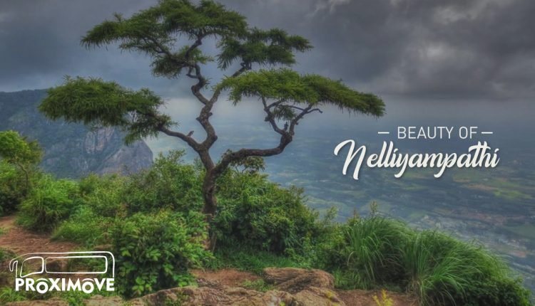 proximove's tweet photo. Planning a Trip to the Beautiful #HillStation? 
#Nelliyampathi - The mighty hills, picturesque valleys, ever-gorgeous tea &amp; coffee plantations. Oh yeah, this place is truly a paradise for the travel addicts.
#Proximove #travel
https://t.co/ylpNCW6Lze https://t.co/vP5J3Ll6qj