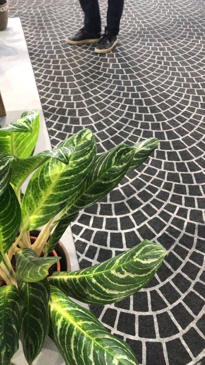 A qui appartiennent ces pieds ? 🤔
Pour le découvrir, passez nous voir à la <a href="/foiredeparis/">Foire de Paris</a> au Pavillon 3 Stand E092, juste après le stand Mairie de Paris 👣