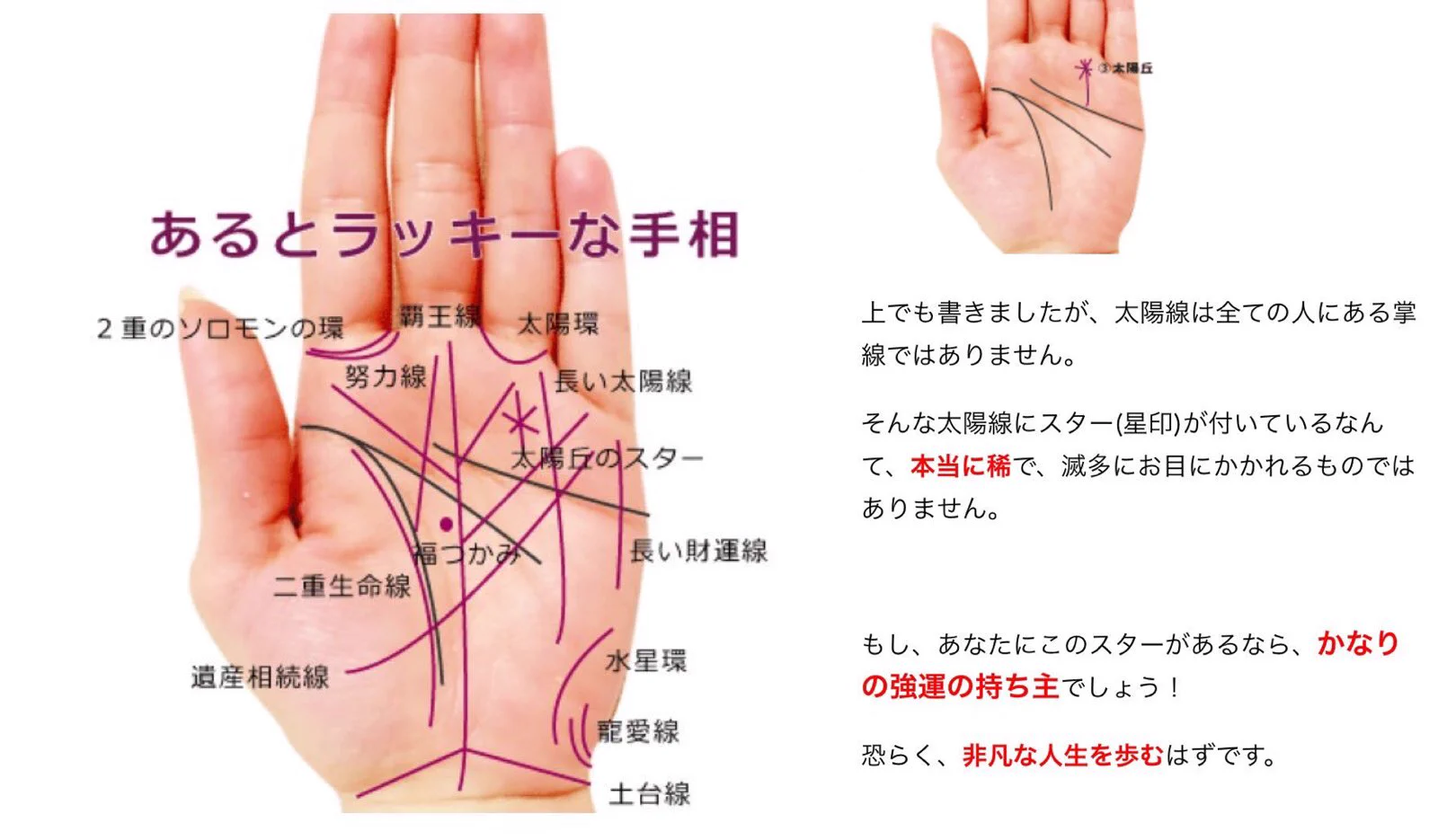 あるとラッキーな手相ｗｗｗ早速みてみようｗｗｗ令和への期待高まる？！
