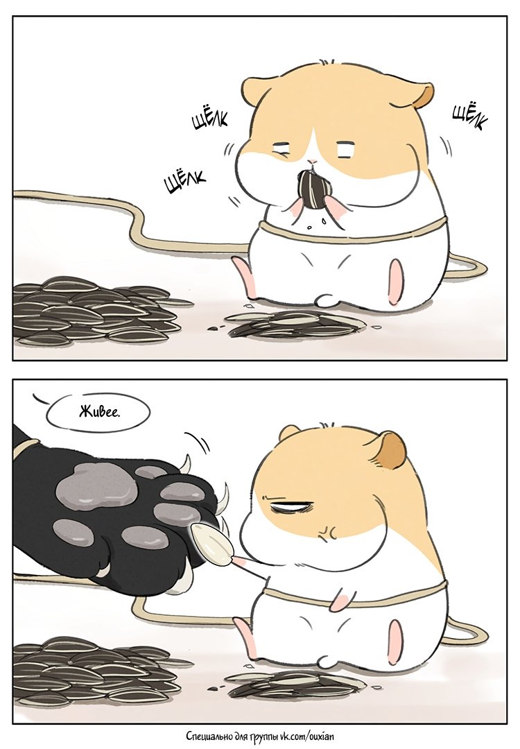 Хомяк и кот аниме