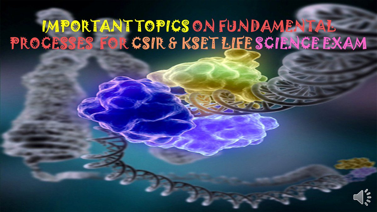 KmdWith's tweet image. youtu.be/D-mgrEVbXY8