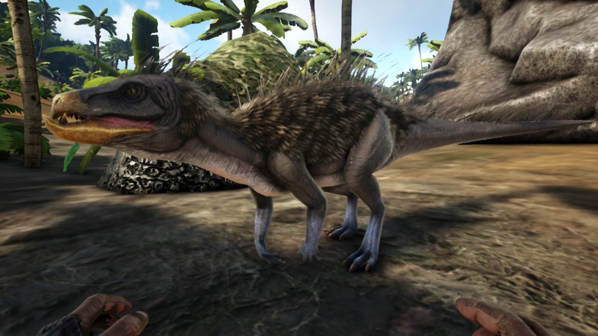 ハッシュタグ Pegomastax ハッシュタグ Pegomastax