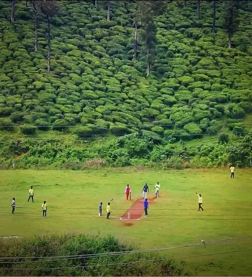 757Live Sports tweet media