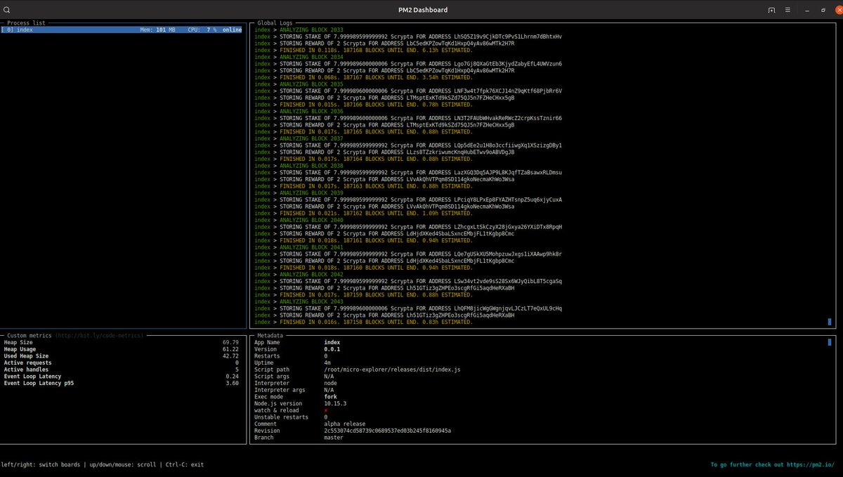 meaningtech_'s tweet photo. Less than 24h and micro-explorer is ready in production mode! #sleeplessdev works hard! Less than 1h for full-blockchain indexing! @tal239 ready to play with it?? https://t.co/ypj9Apcz9q