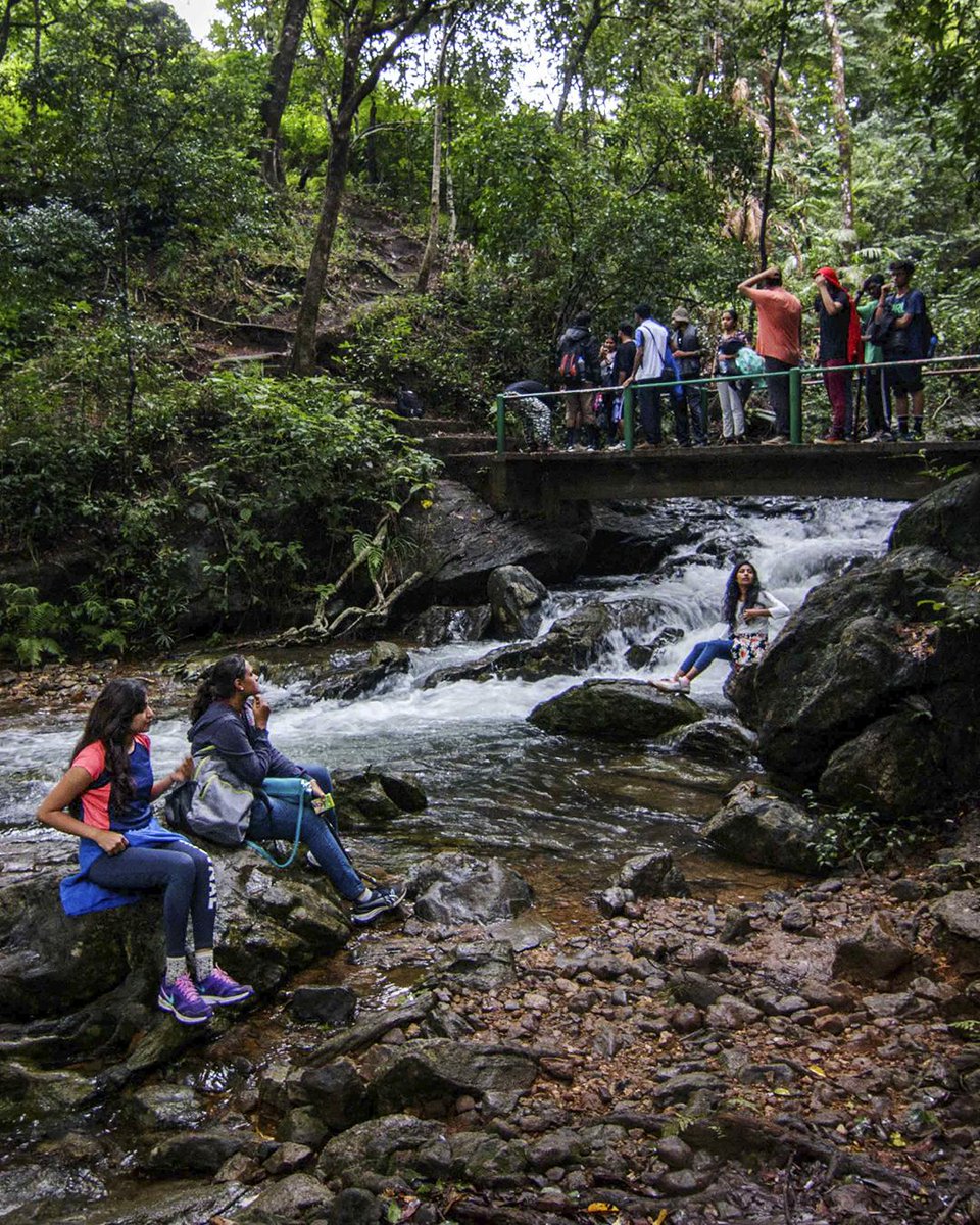 Wander_Trails's tweet photo. The Brahmagiri trek via Irruppu falls and Pakshipathalam caves in the Brahmagiri sanctuary is an exhilarating must-do. Do it at your own pace as you stop by the falls, walk by the woods and ace the climb. #trek #experience

Click the link to know more!
https://t.co/eSy2UzM9Na https://t.co/di6g3c0U6m
