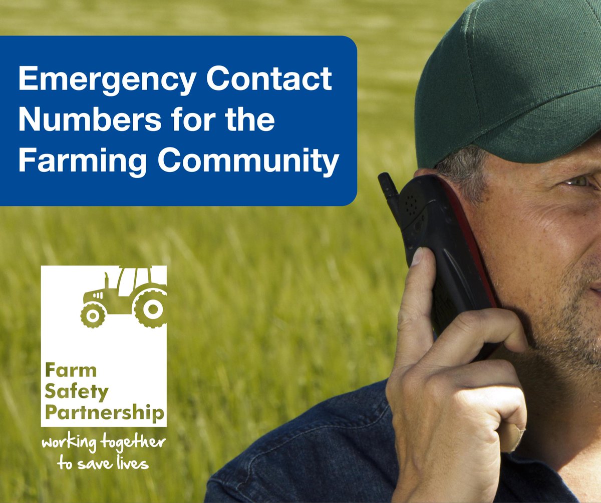 epub five houses of zen 1997