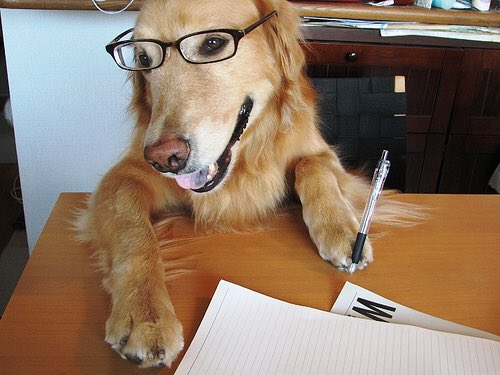 For all the latest <a href="/APDAWG1/">APDAWG</a> news, including dates &amp; details of next meetings, make sure you’re signed up to our free newsletter on our homepage: apdawg.co.uk Thanks for your support :) #APDAWG #dogwelfare