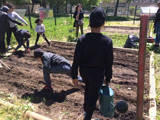 AfevNimes's tweet photo. C'était hier @nimes #Pissevin,
"Journée Verte" dans les jardins-potagers de #Paseo et de @AfevNimes !
Au programme, plantations de graines et de semis, alimentation des sols avec différentes matières, création de cerfs-volants, pique-nique collectif et sous le soleil ! https://t.co/nAHEnKpBEj