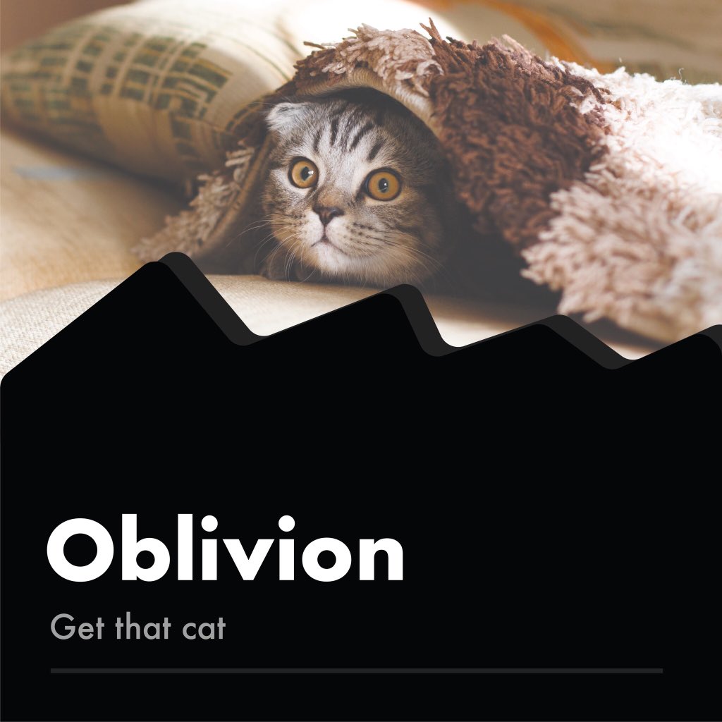 baoryng's tweet photo. anyone can help that cat ?  #oblivionxwork  #cathelp https://t.co/evGNrLHW1Z