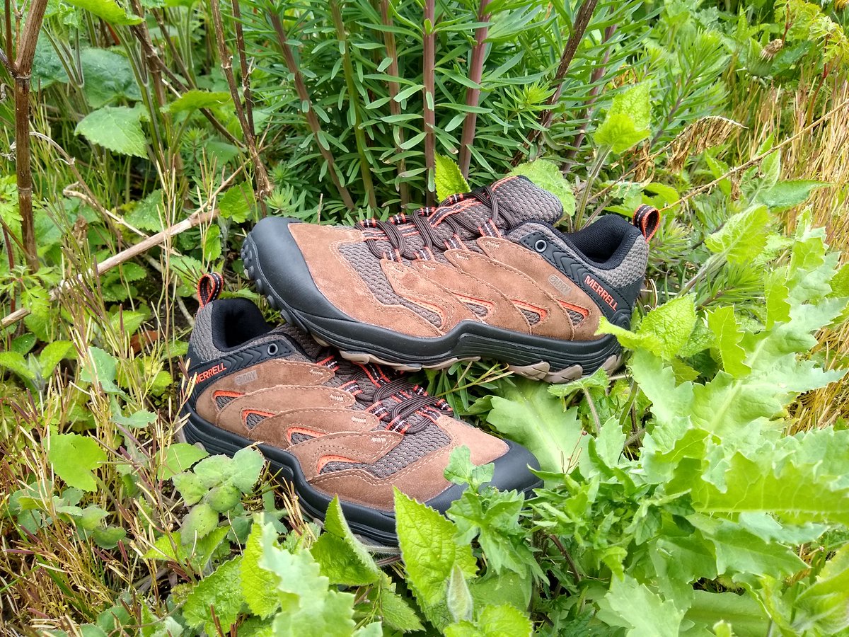 MarshallShoes's tweet photo. #NEW IN: #Merrell #Chamelon 7 Limit - This protective #hikingshoe features durable #suede and #waterproof protection so you can push your limits, no matter the distance. Click here to buy - https://t.co/0zGNK7f6ER #Mensshoes #Mensfashion #menswear #shoes https://t.co/EuLmB2FHJF