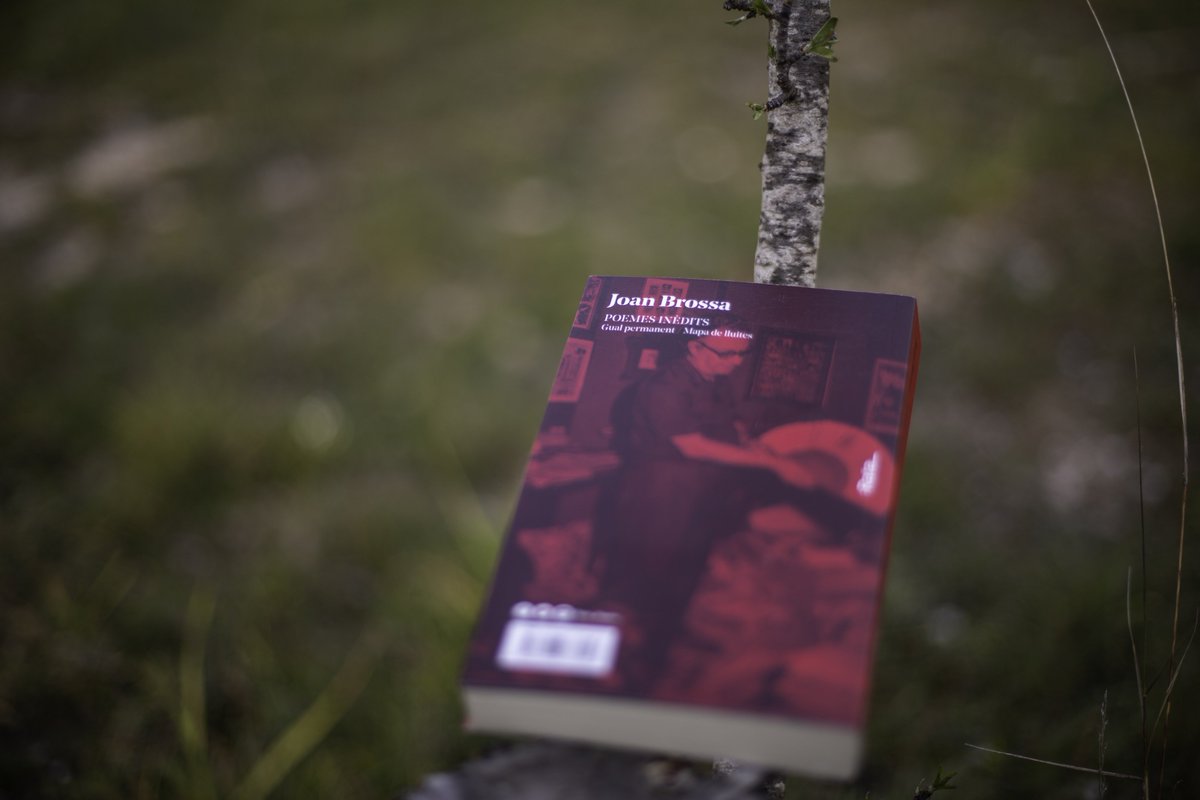 Rata_Books's tweet photo. NOCTURN
"Mirant el quart de lluna penso
que ens passem mitja vida lluitant
contra allò que vam ser l'altra mitja.
Però al damunt hi ha molta escuma.
La llavor del peix entela els boscos"
#AnyBrossa #poemesinèdits https://t.co/pNuZ2r1ME2
