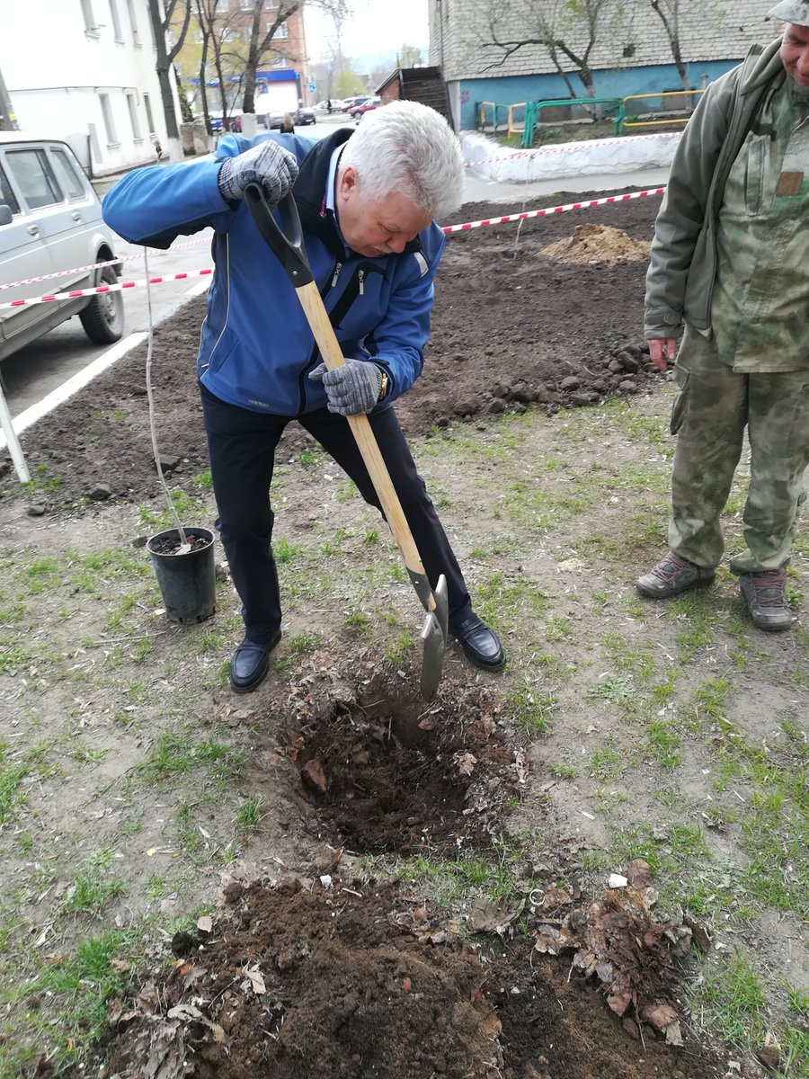 В рамках федерального проекта "Сады Победы", при поддержке  ПОА "Тольяттиазот", социально-экологического союза, депутата Губернской Думы В.И.Дуцева  мы высадили Каштаны Победы! Огромное спасибо активным жителям, управляющим микрорайонов, председателям МКД!