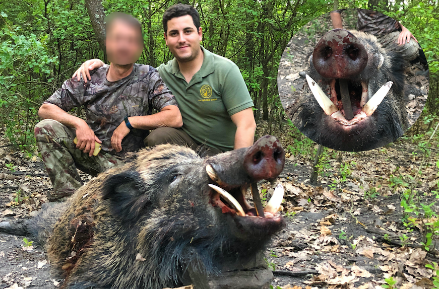 jjgomezcaza's tweet photo. Otro tremendo jabalí, ésta vez cazado en Hungría!! Seguimos dando la mejor calidad, con las mejores condiciones y precios!! Seguimos cazando...!! 🙌🏼

https://t.co/mKgvld5eQv

#wildboar #hunt #huntinginhungary #huntingwildboar #huting  #caza #oxota #chasse #jagd #cazarjabalioro https://t.co/6LGGdEhm7t