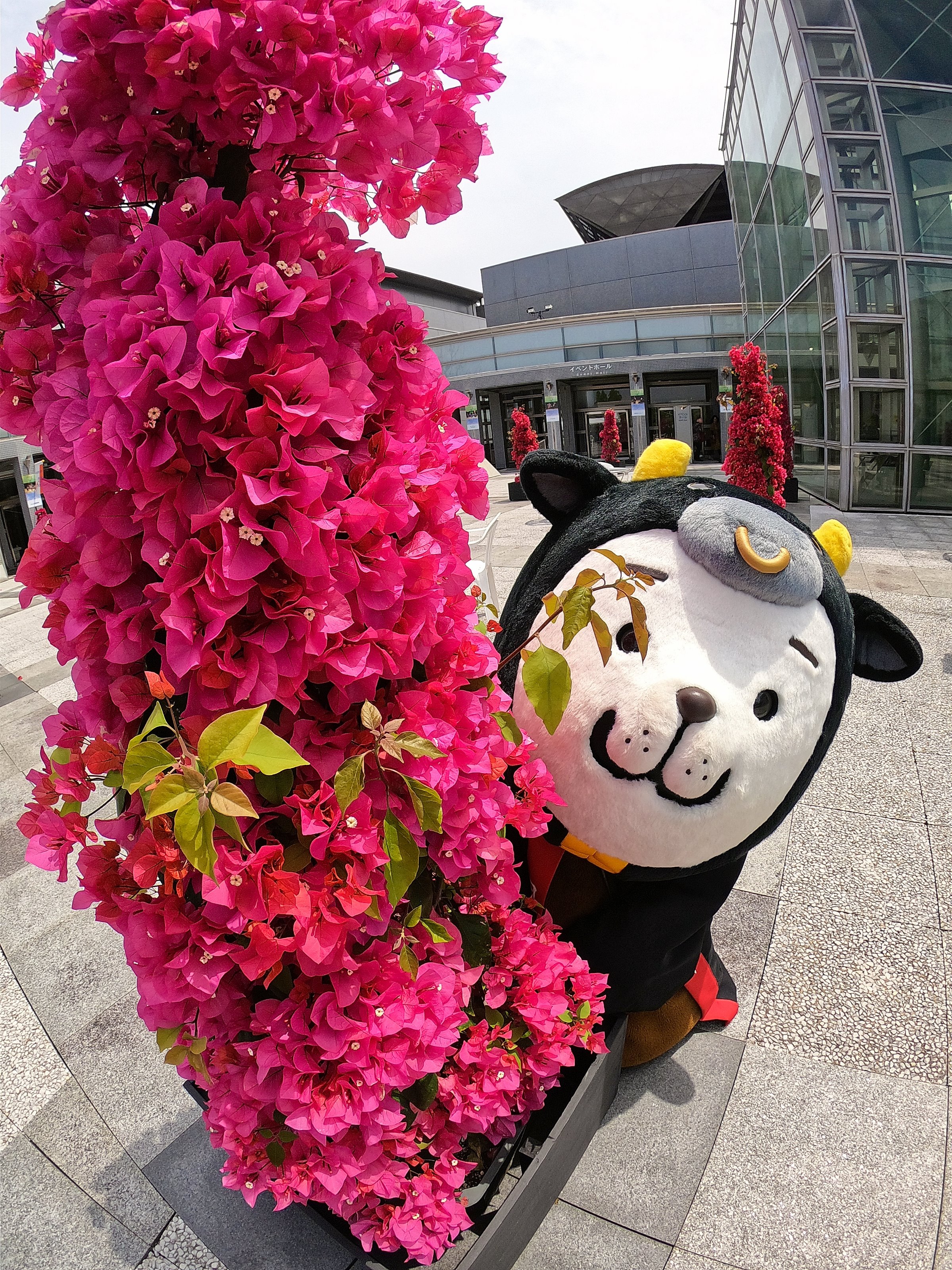 宮崎国際音楽祭 Twitter Search Twitter