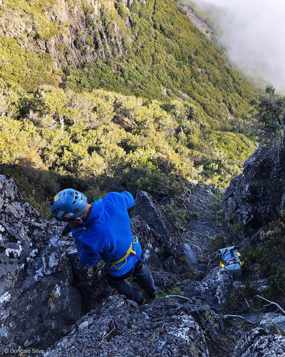 skyrunmadeira's tweet photo. 🔝The new technical section in Pico Ruivo of the Ultra Skyrunning Madeira it’s almost ready... pure #skyrunning race!!!

https://t.co/cNnhmQwGP8
Photos. @SilvaGuiding 

#madeiraskyrace #skyrunner #skyrunningmadeira 
#trailrunning #visitmadeira #trailrunner #madeira https://t.co/O2fz9BZPWi