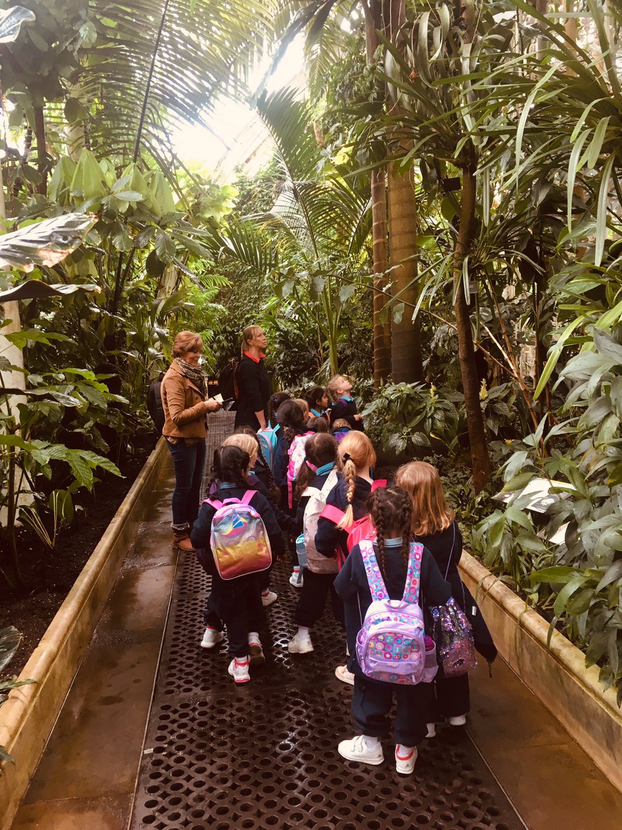 RMSCadogan's tweet image. It’s like a jungle out there! #RMSReception