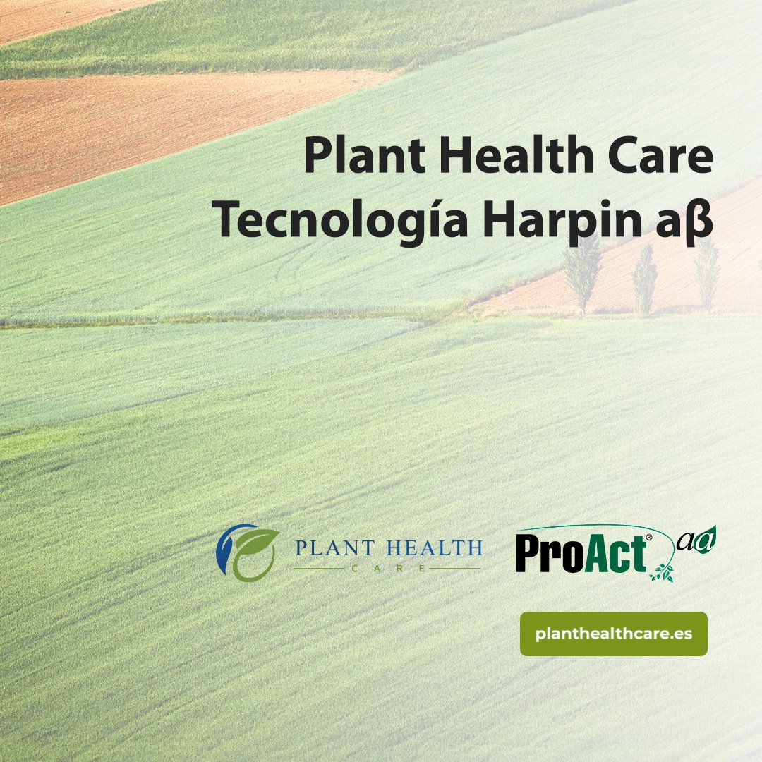 📣Harpin αβ, ¿cuáles son sus características?

✅Contiene la combinación de dominios activos de 4  proteínas diferentes de Harpin nativas.

✅Cada dominio contiene sub-unidades Alfa y Beta.

✅Mayor potencia y mayor capacidad de producción.

✅Mayor eficiencia en cultivos.