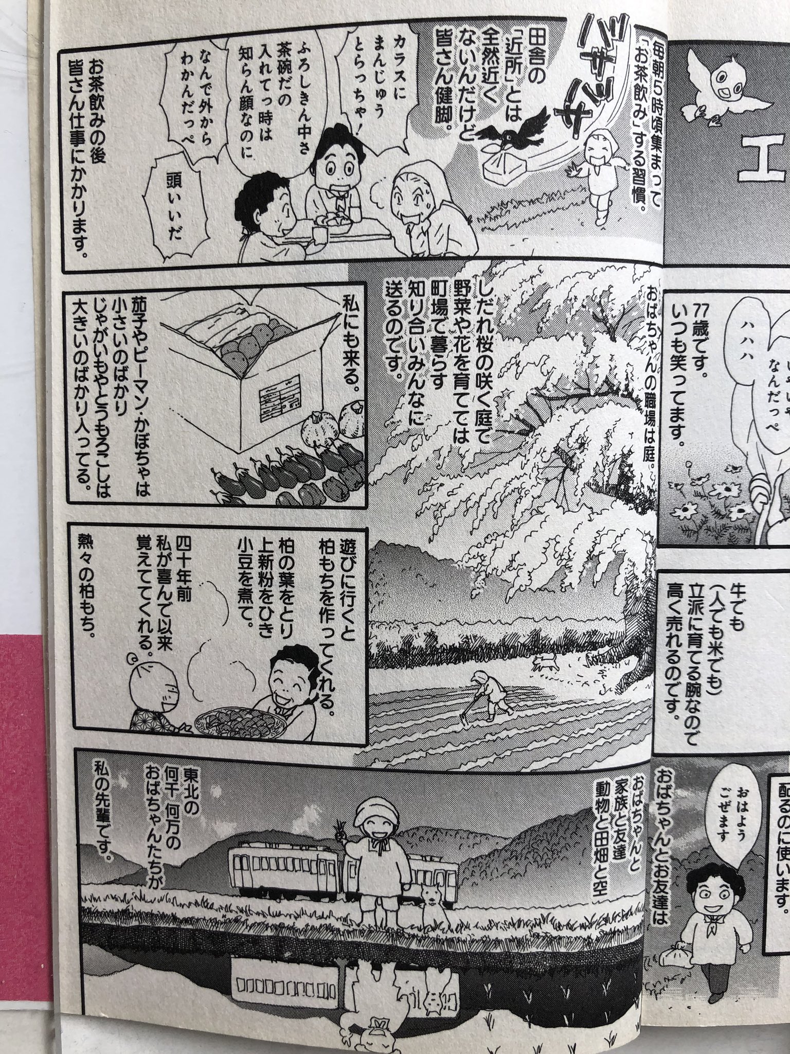 エデンの東北 1～7,9～16,20～22巻　深谷 かほる エデンの東北(1) (バンブー・コミックス) | 深谷 かほる |本
