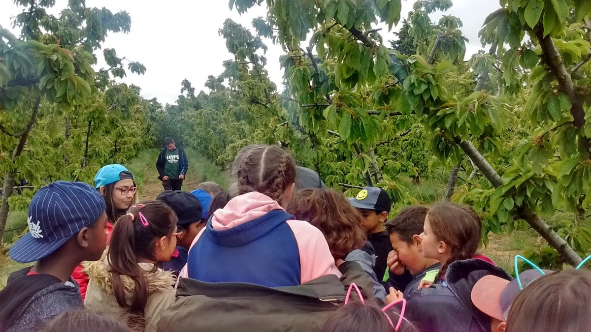 CEIPGonzalodeBerceo tweet media