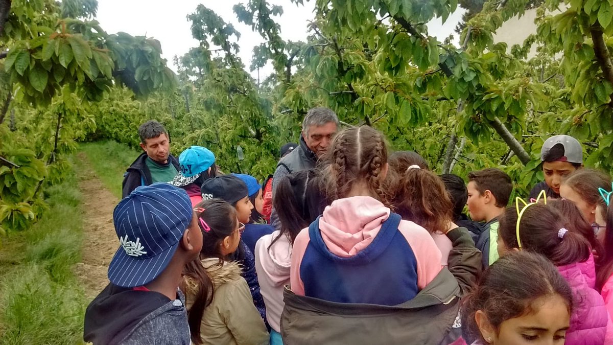 CEIPGonzalodeBerceo tweet media