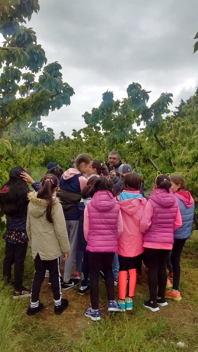 CEIPGonzalodeBerceo tweet media