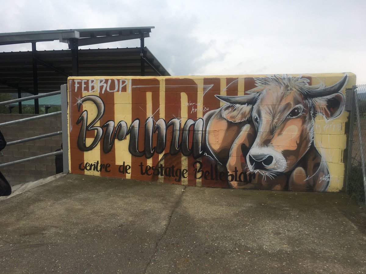 easolsones's tweet photo. Avui assistim a la inaguració del centre de testatge de la Bruna🐮 del Pirineu🏔 a l’Escola Agrària del Pirineu. S’ha signat el conveni entre el @agriculturacat i #februpi #brunadelpirineu https://t.co/cYe6scFoZ2