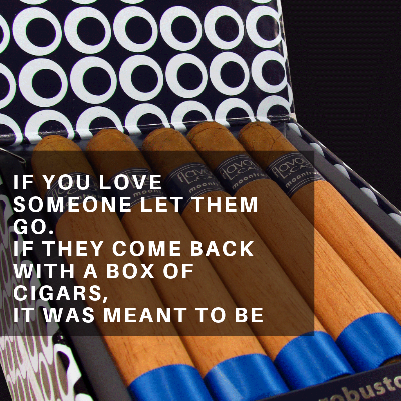 GothamCigars's tweet photo. Raise your hand if you agree! 😂
If they come back with a box of @caocigars Moontrance Robusto, even better <3
Free shipping code here 👇
https://t.co/K1cuyCemfA
#cigar #cigars #cigarporn #CAO #moontrance https://t.co/8YdND0DVIH
