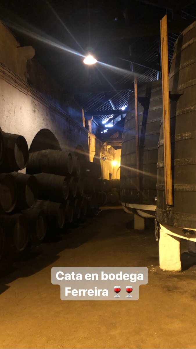 legio_gemina's tweet photo. Cata de vinos de oporto! Buena previa para la próxima visita en La Rioja 🍷🍷 https://t.co/zNwMor8W36