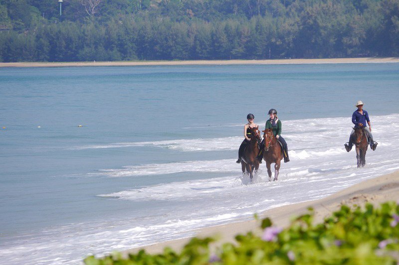 thingstodothai's tweet photo. 🐴Highly experience horseback riding on the beach
⛱Join our Phuket horse riding Combo Set 3 
✅1 Hour Horse Beach Ride
✅45 min Elephant Observe/Shower/Swim/Feeding
https://t.co/S8dIy8kL26
#Phukettour #horseriding #Phuketdaytour  #Thailandholidays #Thailandtours #tourinPhuket https://t.co/sjxx1CiI00